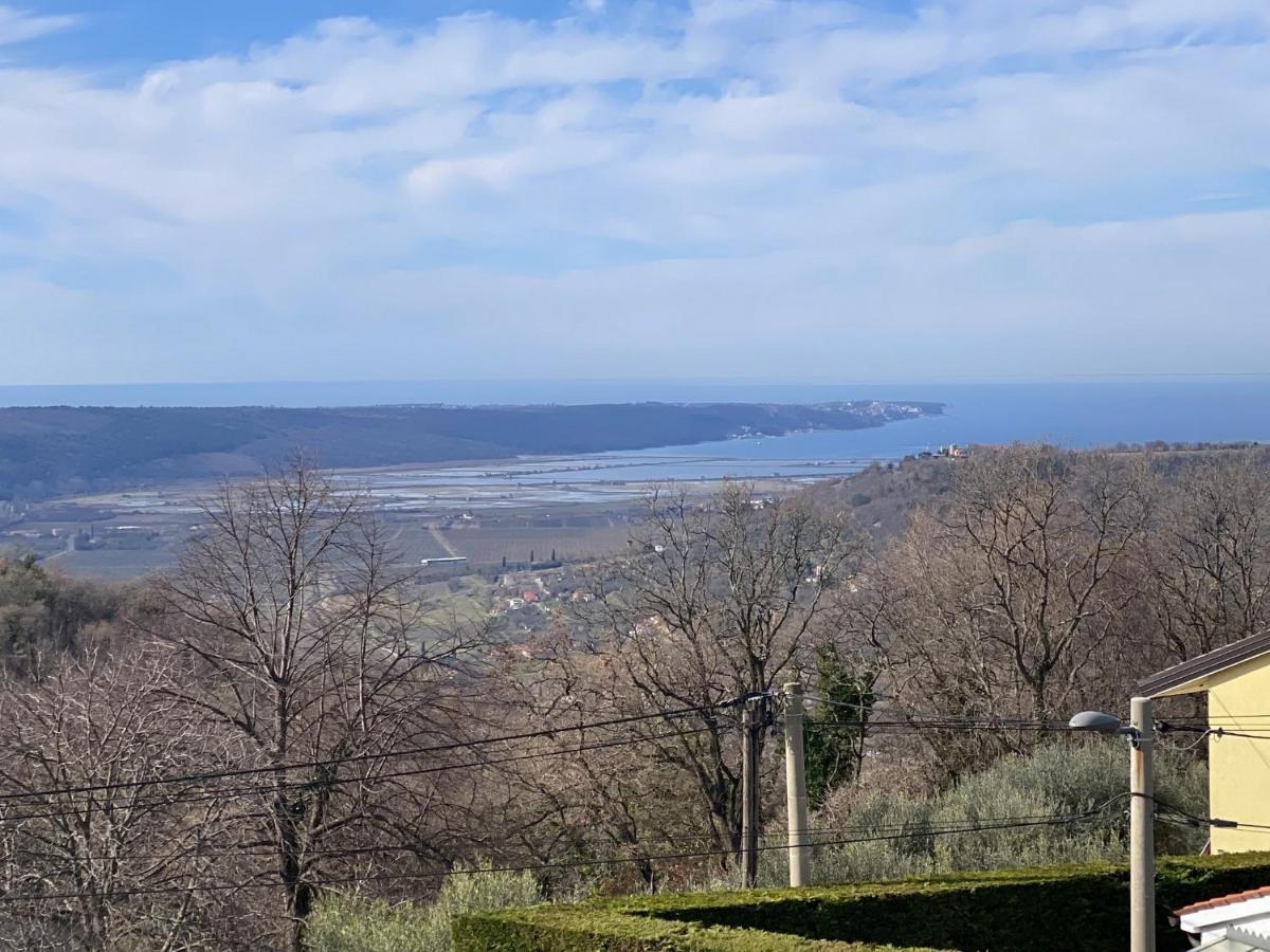Sea View Istrian Countryside Apartment - Rota Dragonja Exterior photo